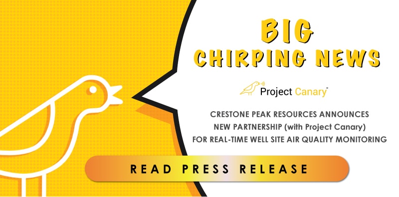 Big-Chirping-News2