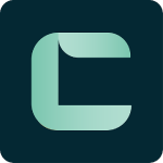 C icon